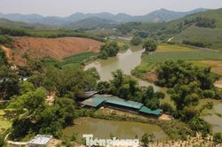 Bẫy bao ti&ecirc;u sau những lời quảng c&aacute;o nu&ocirc;i con đặc sản