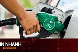 TIN NHANH: Hàng loạt hãng xe trả lời về khả năng tương thích của xăng E10