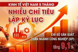 Kinh tế Việt Nam 5 tháng: Nhiều chỉ tiêu lập kỷ lục