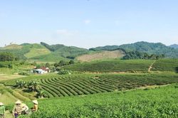 Nghệ An ph&aacute;t triển n&ocirc;ng nghiệp c&ocirc;ng nghệ cao tr&ecirc;n h&agrave;nh lang kinh tế đường Hồ Ch&iacute; Minh