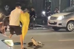 [Clip] Thót tim cảnh cá sấu 'dạo chơi' trên đường giữa trung tâm TP.Đồng Nai