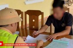 Xử phạt chủ xe và tài xế không có giấy phép lái xe gần 100 triệu đồng