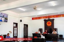 T&agrave;i xế mua ma t&uacute;y ở L&agrave;o mang về Việt Nam sử dụng