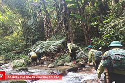 Bảo đảm an to&agrave;n m&ocirc;i trường v&agrave; x&atilde; hội: Ch&igrave;a kh&oacute;a cho ph&aacute;t triển rừng bền vững