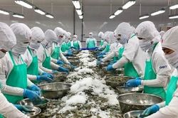 Xuất khẩu thủy sản tăng hơn 10% trong 5 th&aacute;ng đầu năm