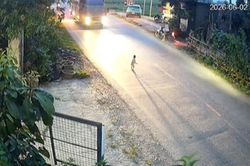 Thót tim cảnh bé 18 tháng ở Phú Thọ chạy ra đường lớn, giữa dòng xe lao vun vút