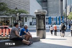 Kinh nghiệm của Canada trong tự chủ an ninh năng lượng v&agrave; chuyển đổi xanh