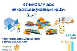5 tháng năm 2026: Kim ngạch xuất, nhập khẩu hàng hóa tăng 25%