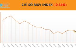 &Aacute;p lực b&aacute;n quay lại, MXV-Index l&ugrave;i về 2.859 điểm