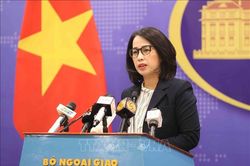 Việt Nam lu&ocirc;n t&ocirc;n trọng quyền tự do h&agrave;ng hải, h&agrave;ng kh&ocirc;ng của c&aacute;c quốc gia ở Biển Đ&ocirc;ng