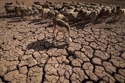 EU 'tiếp sức' gi&uacute;p Maroc ứng ph&oacute; hạn h&aacute;n