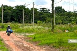 Cận cảnh dự án 'treo' gần 20 năm, phơi sương phơi nắng giữa khu 'đất vàng' Tp.HCM