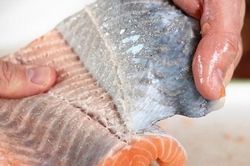 3 bộ phận của cá có thể chứa 'độc tố', cái số 1 quá quen thuộc