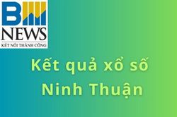 XSNT 5/6. Kết quả xổ số Ninh Thuận hôm nay ngày 5/6/2026. SXNT ngày 5/6. SXNT hôm nay