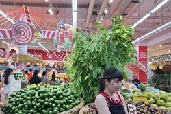Khai mạc Tuần lễ tr&aacute;i c&acirc;y Việt Nam năm 2026