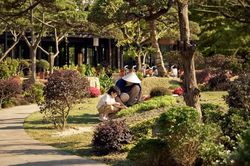 Chuỗi khách sạn M Village chuyển đổi thành Modern Village Lifestyle