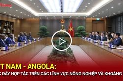 Việt Nam - Angola: Th&uacute;c đẩy hợp t&aacute;c tr&ecirc;n c&aacute;c lĩnh vực n&ocirc;ng nghiệp v&agrave; kho&aacute;ng sản