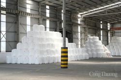 Công nghiệp Lâm Đồng khởi sắc