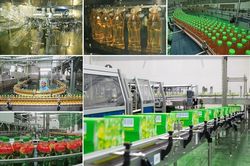Kinh tế tư nh&acirc;n: Động lực mới cho năng lực cạnh tranh quốc gia