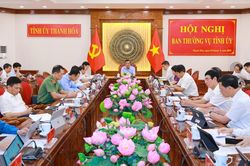 Ban Thường vụ Tỉnh ủy cho ý kiến về phương án sắp xếp thôn, tổ dân phố trên địa bàn tỉnh