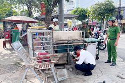 Long Xuyên quyết tâm kéo giảm tai nạn giao thông