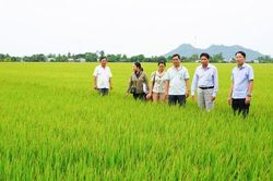 Giải pháp để Tân Hội thực hiện thắng lợi mục tiêu tăng trưởng kinh tế 10%