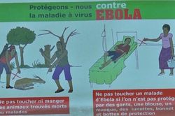 WHO cảnh b&aacute;o chủng Ebola hiếm gặp tại Trung Phi