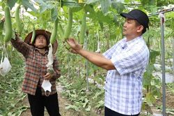 Cầu nối đưa phong tr&agrave;o n&ocirc;ng d&acirc;n đi l&ecirc;n