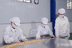 Sản xuất sạch hơn hướng tới kinh tế tuần hoàn