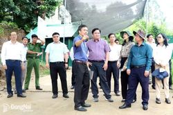 Khảo sát các cảng, bến thủy trên sông Đồng Nai