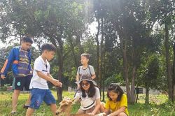 Từ trạm cứu hộ động vật đến điểm du lịch hấp dẫn