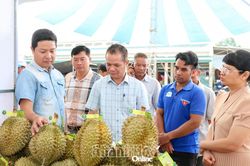 Triển khai Bộ ti&ecirc;u ch&iacute; v&agrave; quy tr&igrave;nh đ&aacute;nh gi&aacute; sản phẩm OCOP