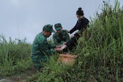 Nghĩa tình thầy thuốc 'quân hàm xanh'