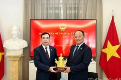 Đoàn đại biểu tỉnh Phú Thọ thăm và làm việc với Đại sứ quán Việt Nam tại Tây Ban Nha