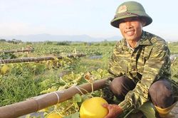 Liên kết tạo lực cho hợp tác xã