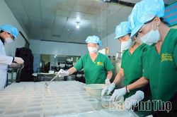 Doanh nghiệp nhỏ bước vào cuộc chơi số