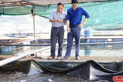 Đồng hành cùng hội viên phát triển kinh tế