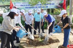 Phát động hưởng ứng Ngày Môi trường thế giới và Tháng hành động vì môi trường năm 2026