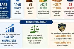 [Infographic] Xử lý hơn 1.400 vụ xâm phạm quyền sở hữu trí tuệ sau 3 tuần thực hiện Công điện 38