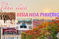 Theo dấu ch&acirc;n m&ugrave;a hoa phượng