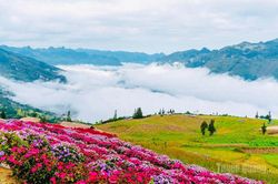 Đánh thức mùa hè xanh giữa đại ngàn