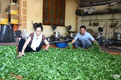 'Chắp cánh' cho chè Đồng Hỷ bay xa