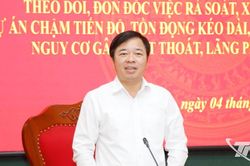 Sớm đề xuất giải pháp khả thi để xử lý dứt điểm các dự án chậm tiến độ, tồn đọng kéo dài