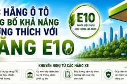 Hàng loạt hãng ô tô khẳng định các dòng xe tại Việt Nam tương thích với xăng sinh học E10