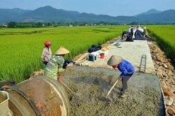 Dấu ấn nhiệm kỳ VIII: Nông dân phát huy vai trò chủ thể trong xây dựng nông thôn mới