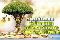 Infographics: 5 tháng, vốn đầu tư thực hiện từ nguồn ngân sách nhà nước ước đạt 254,1 nghìn tỷ đồng