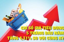 Infographics: Chỉ số giá tiêu dùng tháng 5/2026 tăng 0,29%
