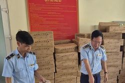 H&agrave; Nội: Đội Quản l&yacute; thị trường số 7 gi&aacute;m s&aacute;t ti&ecirc;u hủy l&ocirc; thực phẩm nhập lậu trị gi&aacute; hơn 328 triệu đồng