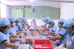 HTX bắt đầu quan tâm đến bằng sáng chế