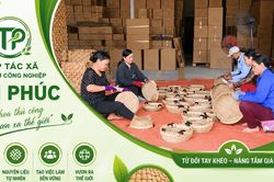 Hành trình vươn xa của HTX Tân Phúc từ sợi cói quê hương